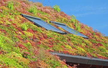 The Brook living roof systems