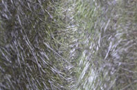 The Brook fibreglass roof work